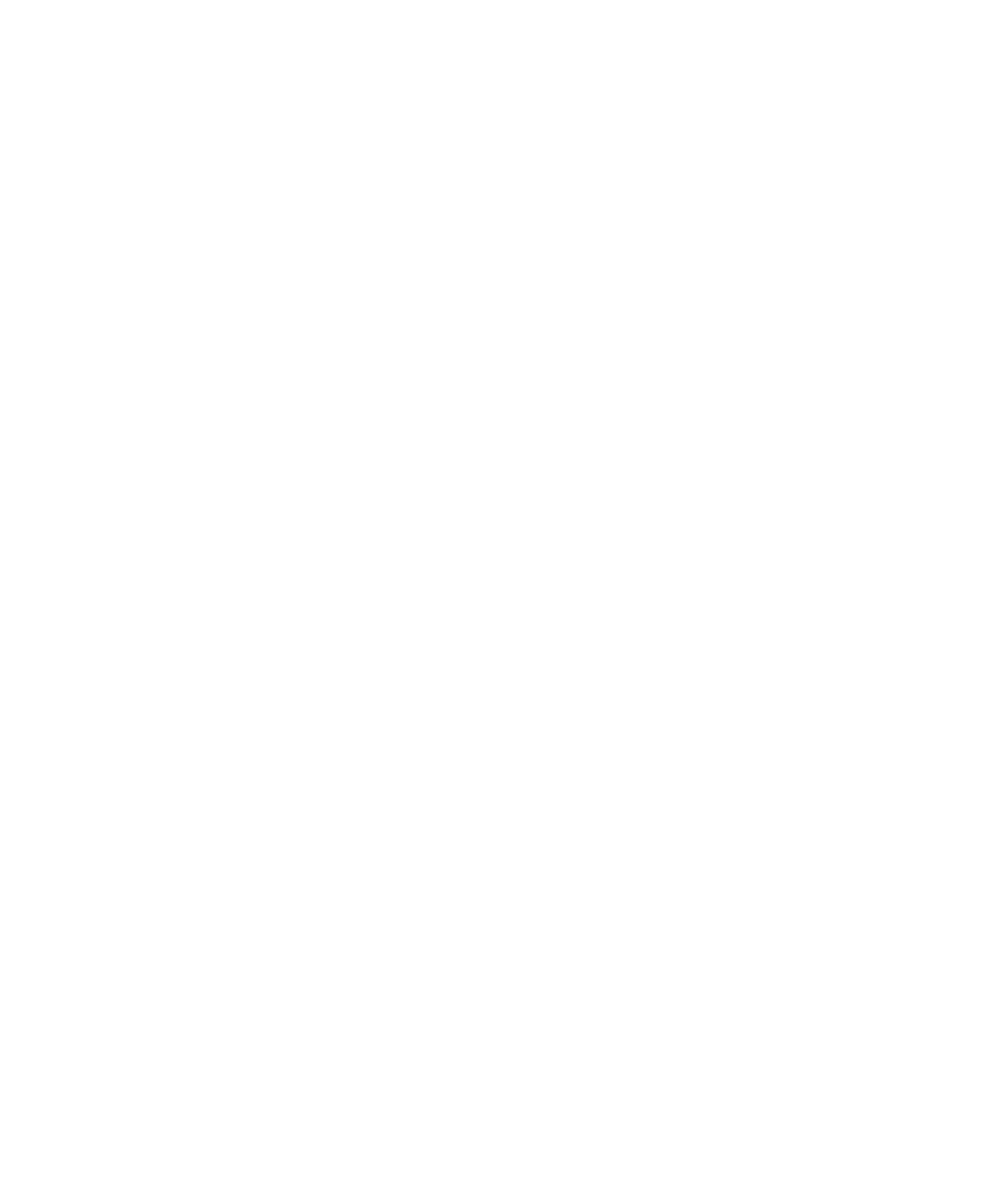 Performind Visual Identity Logo